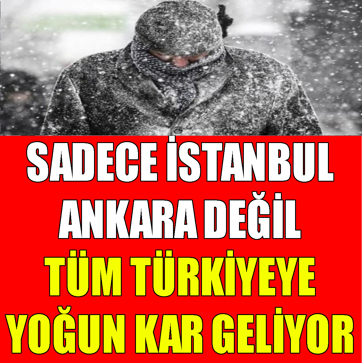 Tüm Şehirler